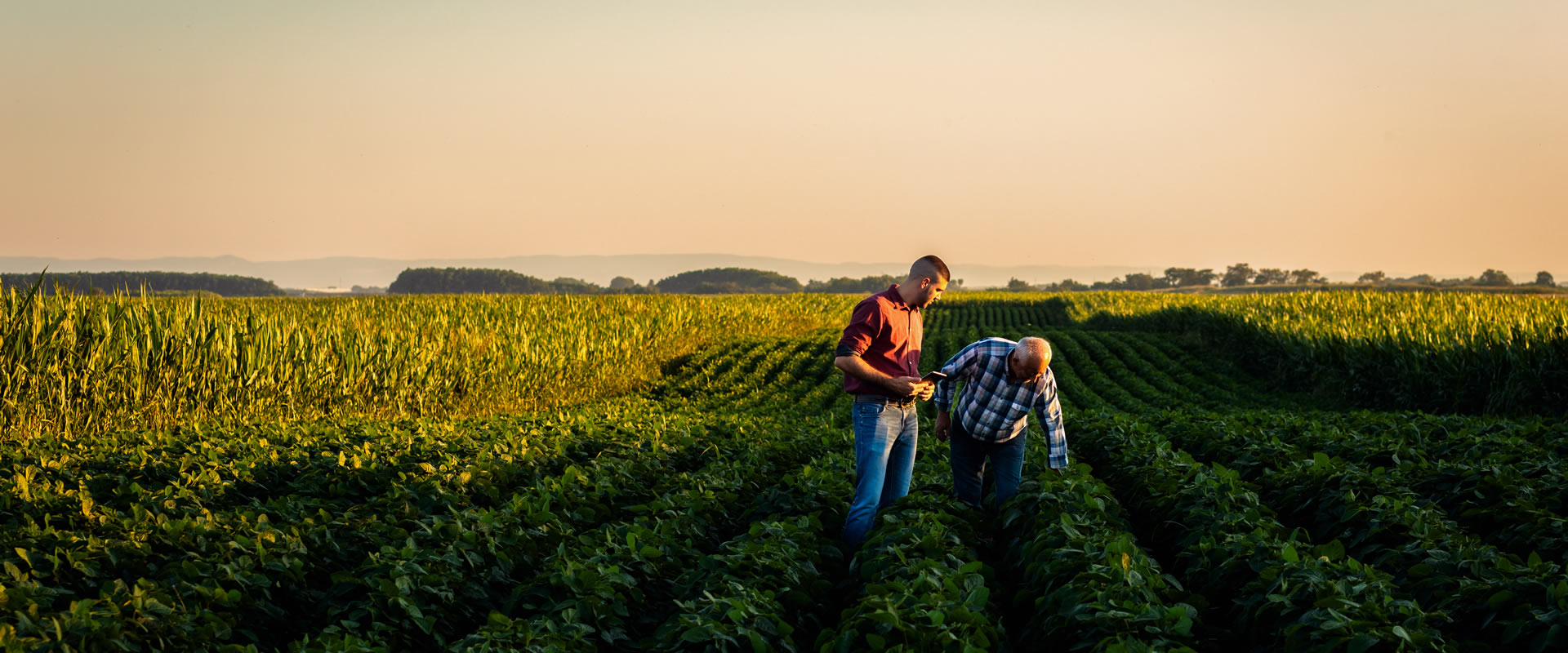 Farm Succession Planning: 3 Major Mistakes To Avoid